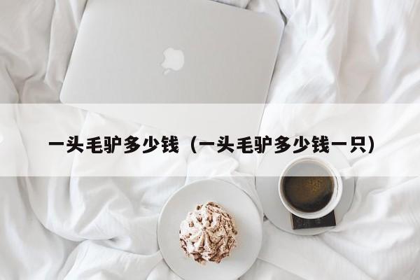 一头毛驴多少钱（一头毛驴多少钱一只）