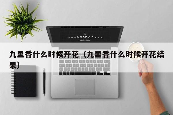 九里香什么时候开花（九里香什么时候开花结果）