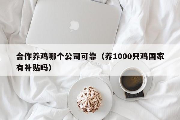 合作养鸡哪个公司可靠（养1000只鸡国家有补贴吗）