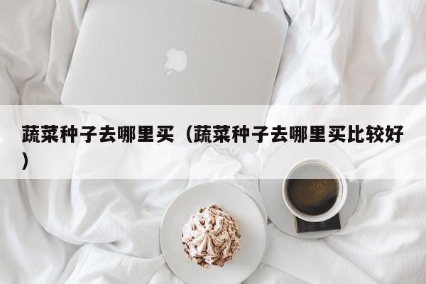 蔬菜种子去哪里买（蔬菜种子去哪里买比较好）