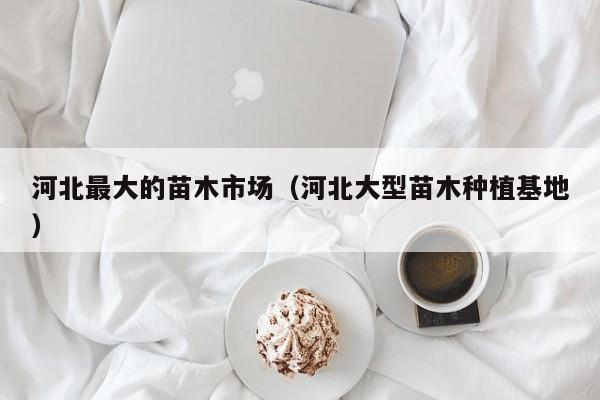 河北最大的苗木市场（河北大型苗木种植基地）