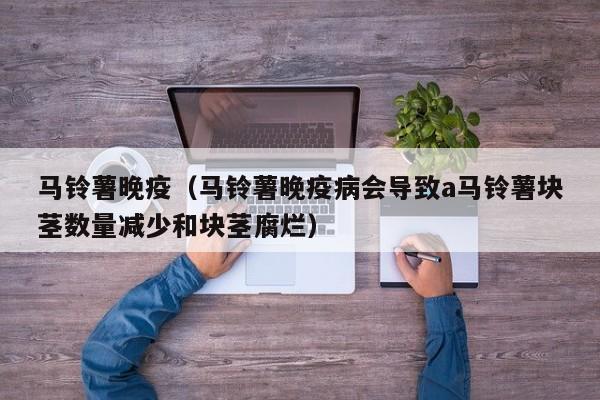 马铃薯晚疫（马铃薯晚疫病会导致a马铃薯块茎数量减少和块茎腐烂）