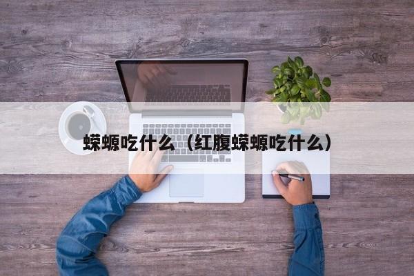 蝾螈吃什么（红腹蝾螈吃什么）