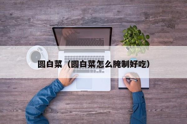 圆白菜（圆白菜怎么腌制好吃）