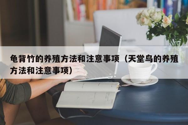 龟背竹的养殖方法和注意事项（天堂鸟的养殖方法和注意事项）