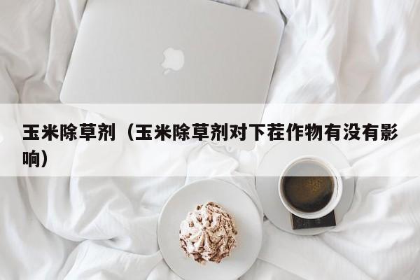玉米除草剂（玉米除草剂对下茬作物有没有影响）