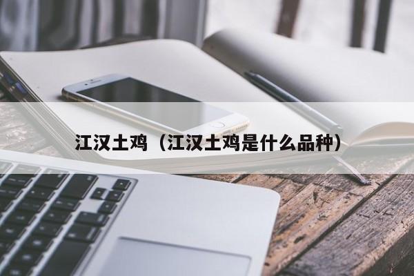 江汉土鸡（江汉土鸡是什么品种）