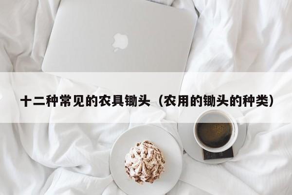十二种常见的农具锄头（农用的锄头的种类）