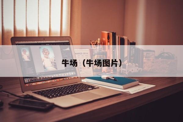 牛场（牛场图片）