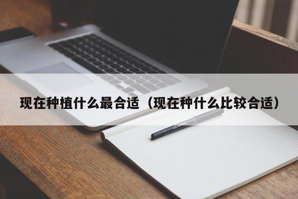 现在种植什么最合适（现在种什么比较合适）