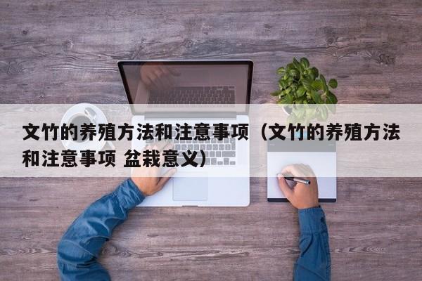 文竹的养殖方法和注意事项（文竹的养殖方法和注意事项 盆栽意义）