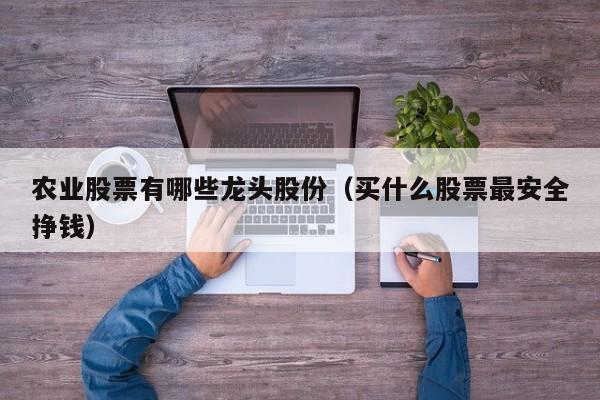 农业股票有哪些龙头股份（买什么股票最安全挣钱）