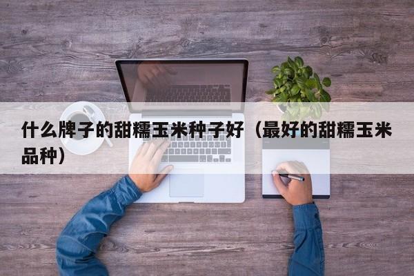 什么牌子的甜糯玉米种子好（最好的甜糯玉米品种）