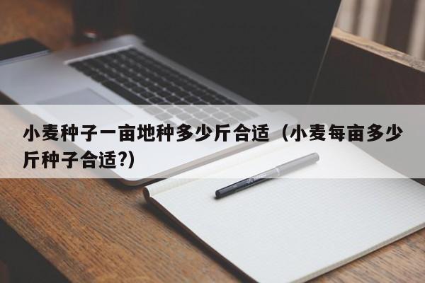 小麦种子一亩地种多少斤合适（小麦每亩多少斤种子合适?）