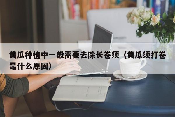 黄瓜种植中一般需要去除长卷须（黄瓜须打卷是什么原因）