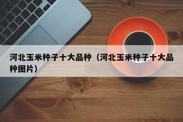 河北玉米种子十大品种（河北玉米种子十大品种图片）