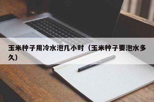 玉米种子用冷水泡几小时（玉米种子要泡水多久）