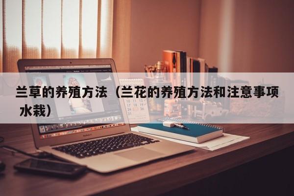 兰草的养殖方法（兰花的养殖方法和注意事项 水栽）