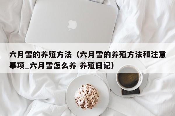 六月雪的养殖方法（六月雪的养殖方法和注意事项_六月雪怎么养 养殖日记）
