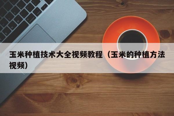 玉米种植技术大全视频教程（玉米的种植方法视频）