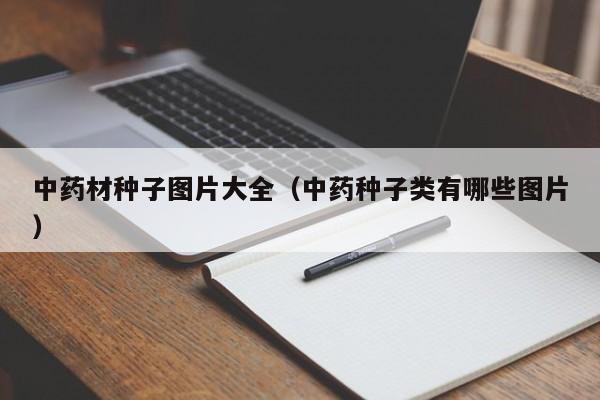 中药材种子图片大全（中药种子类有哪些图片）
