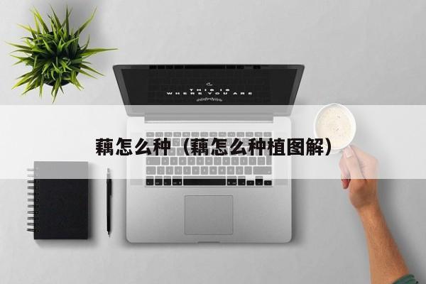 藕怎么种（藕怎么种植图解）