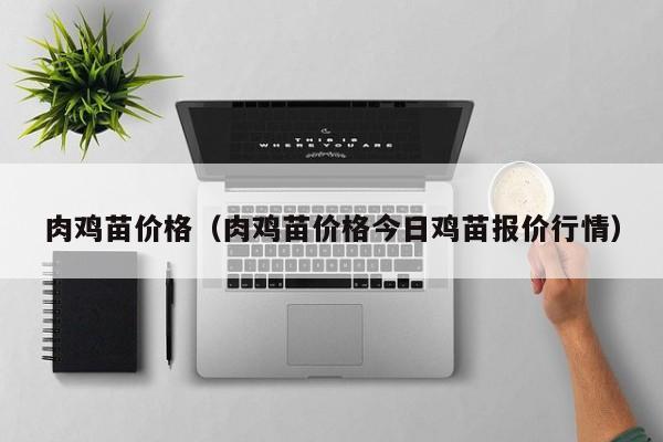 肉鸡苗价格（肉鸡苗价格今日鸡苗报价行情）