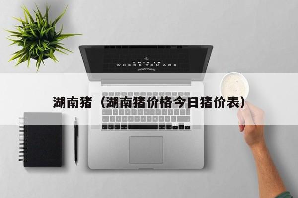 湖南猪（湖南猪价格今日猪价表）