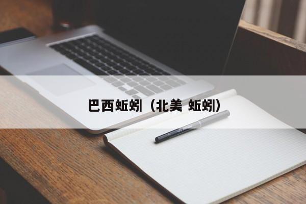 巴西蚯蚓（北美 蚯蚓）