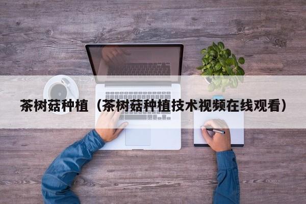 茶树菇种植（茶树菇种植技术视频在线观看）