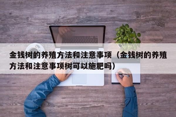 金钱树的养殖方法和注意事项（金钱树的养殖方法和注意事项树可以施肥吗）