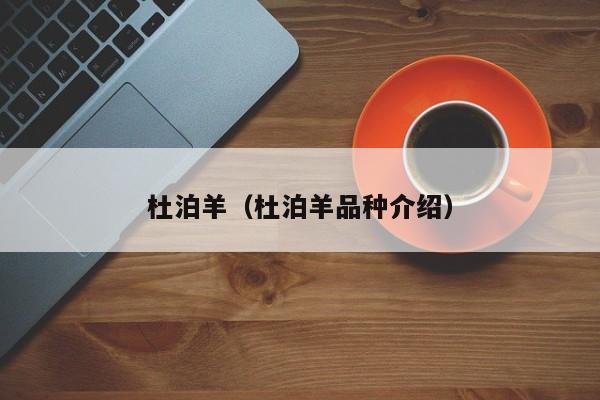 杜泊羊（杜泊羊品种介绍）