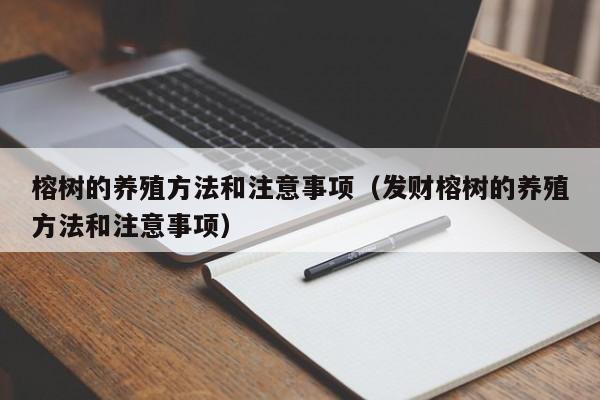 榕树的养殖方法和注意事项（发财榕树的养殖方法和注意事项）