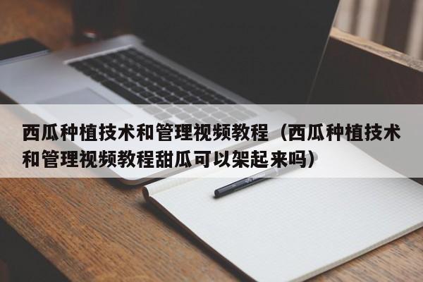 西瓜种植技术和管理视频教程（西瓜种植技术和管理视频教程甜瓜可以架起来吗）
