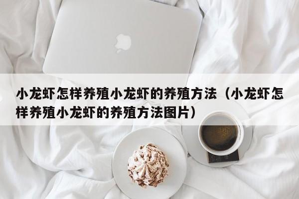小龙虾怎样养殖小龙虾的养殖方法（小龙虾怎样养殖小龙虾的养殖方法图片）