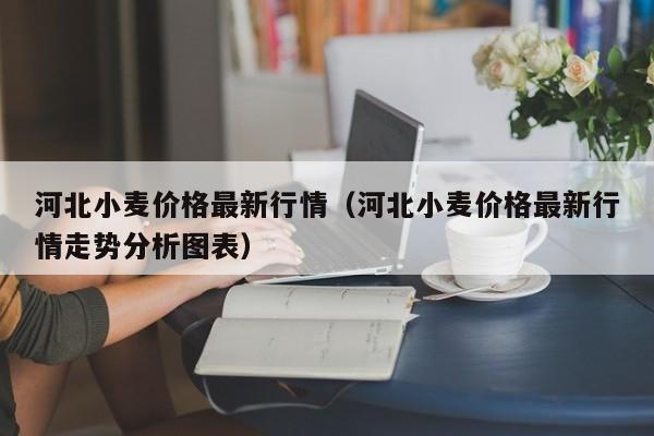 河北小麦价格最新行情（河北小麦价格最新行情走势分析图表）