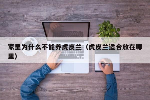 家里为什么不能养虎皮兰（虎皮兰适合放在哪里）