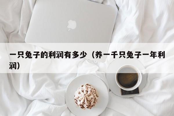 一只兔子的利润有多少（养一千只兔子一年利润）