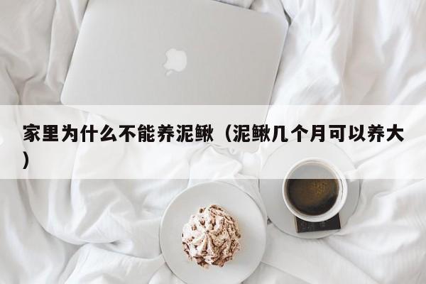 家里为什么不能养泥鳅（泥鳅几个月可以养大）