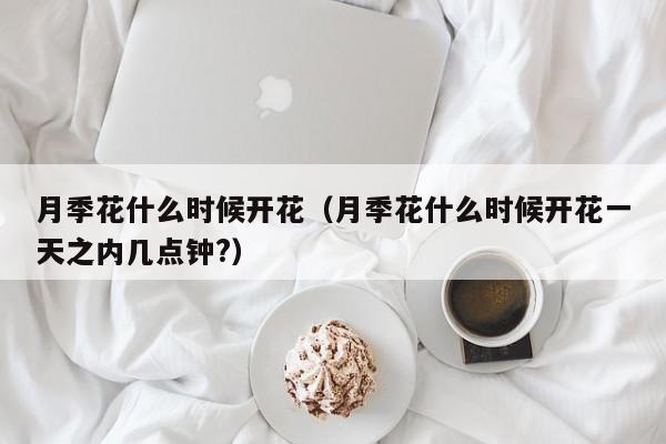 月季花什么时候开花（月季花什么时候开花一天之内几点钟?）