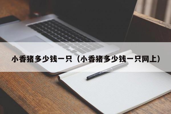 小香猪多少钱一只（小香猪多少钱一只网上）