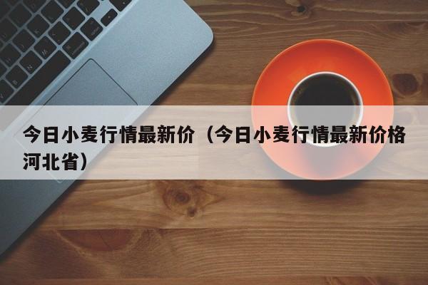 今日小麦行情最新价（今日小麦行情最新价格河北省）