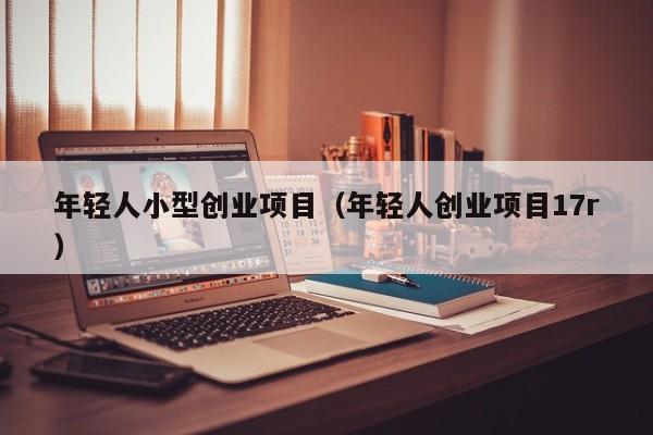 年轻人小型创业项目（年轻人创业项目17r）