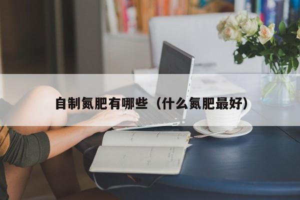 自制氮肥有哪些（什么氮肥最好）